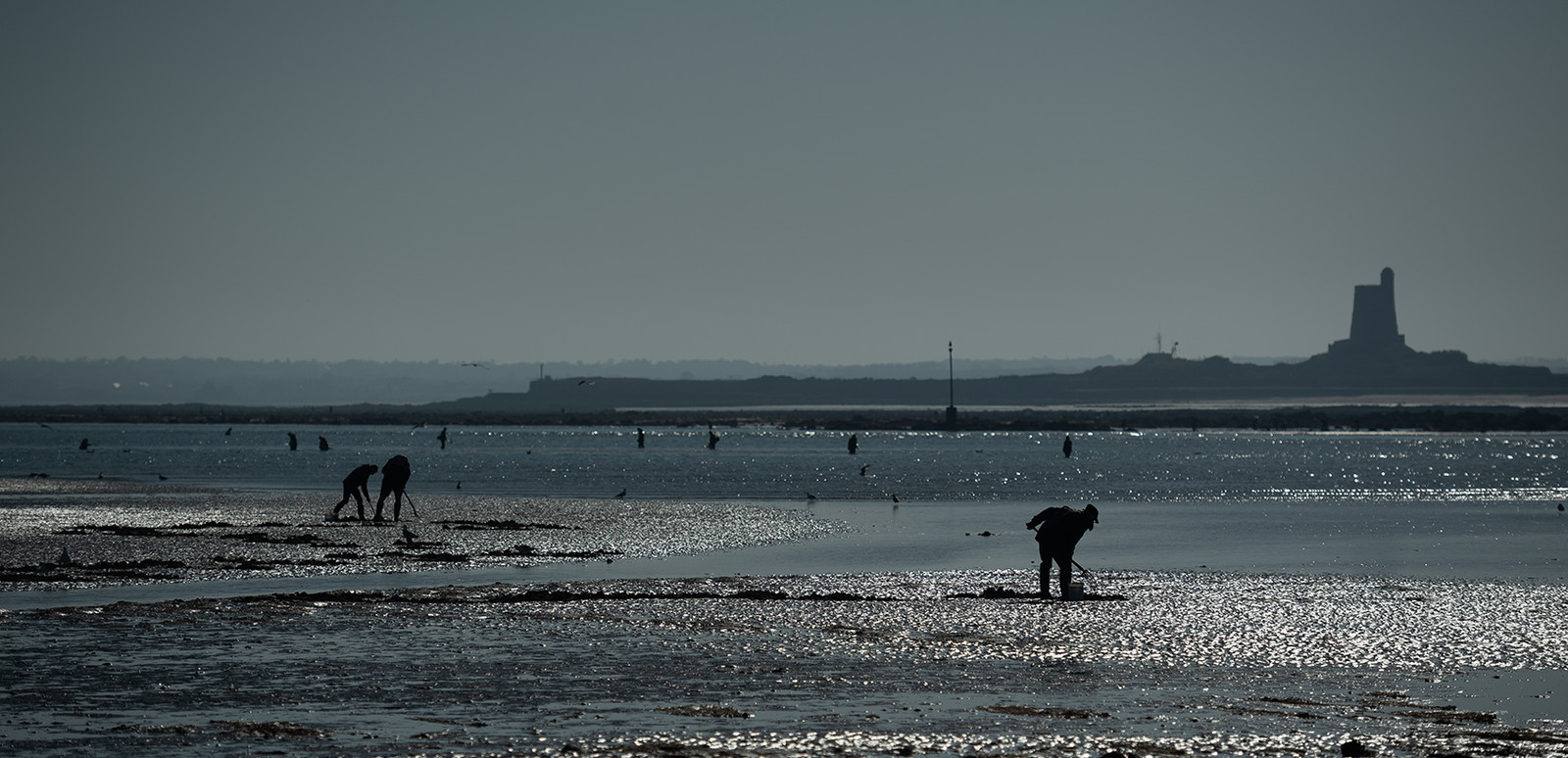 Les parcs à huîtres de Saint-Vaast-la-Hougue (Cotentin)