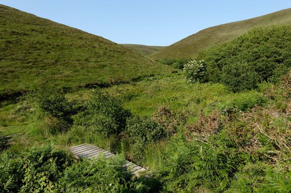 Le village de Vauville fait partie des sites classés de la Hague, Cap Cotentin. Les Pierres Pouquelées, galerie néolithique, sont un témoignage de l'Antiquité.La mare de Vauville est une réserve naturelle. Créée en 1976 c'est l'une des 135 réserves naturelles de France. Géré par le Groupe Ornithologique Normand depuis 1983, c'est un marais d'eau douce protégé de la mer par un étroit cordon dunaire. La mare de Vauville fait 62 ha, il y a plus de 150 espèces d'oiseaux ainsi que de 350 plantes et 16 espèces de batraciens.Un édifice autrefois religieux domine le village. C'est le prieuré de Vauville construit dans les landes, sur le haut d'une colline.Créé par Eric et Nicole Pellerin en 1947, l'exceptionnel jardin botanique du château de Vauville occupe plus de 40 000 m2. Abritant plus de 1000 espèces de l'hémisphère austral, le jardin entoure le château de Vauville dans une ambiance subtropicale tout à fait surprenante.
