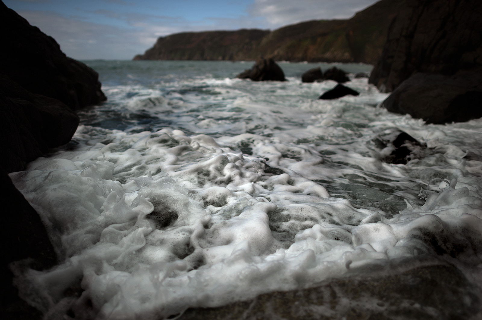 La Presqu'île du Cotentin