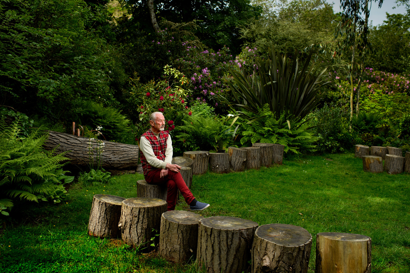 Reportage Des Racines et Des Ailes (mai 2023)