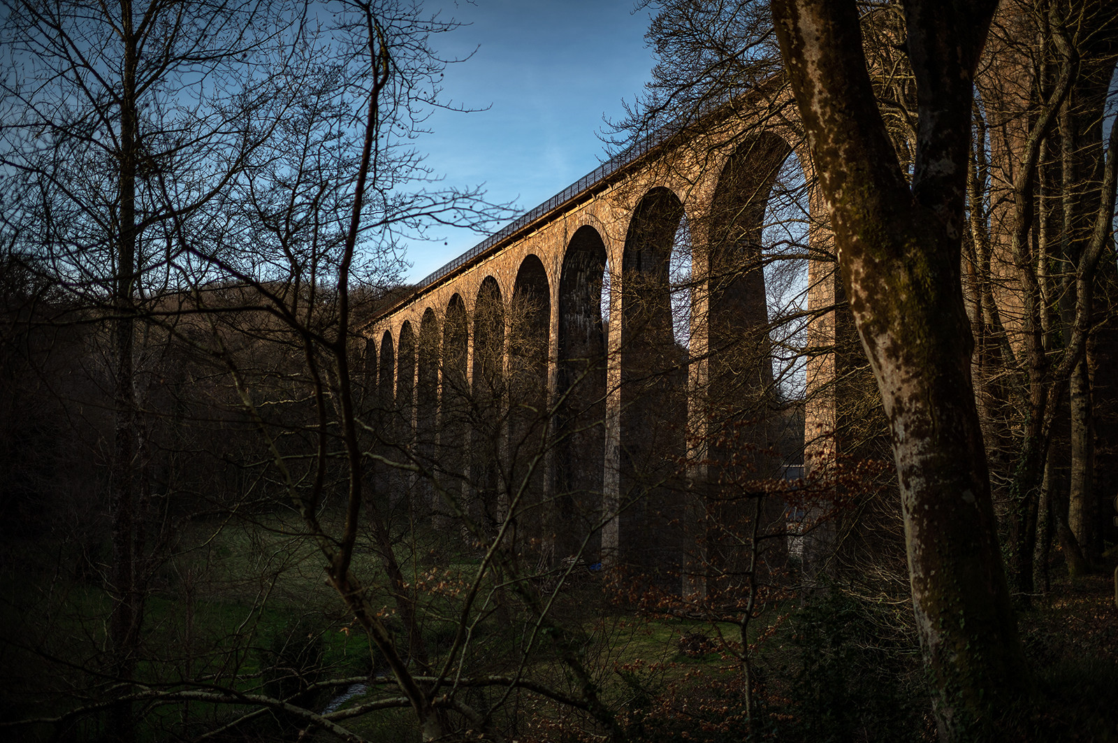 La Presqu'île du Cotentin