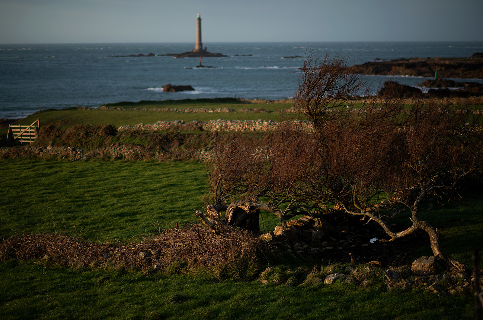 La Presqu'île du Cotentin