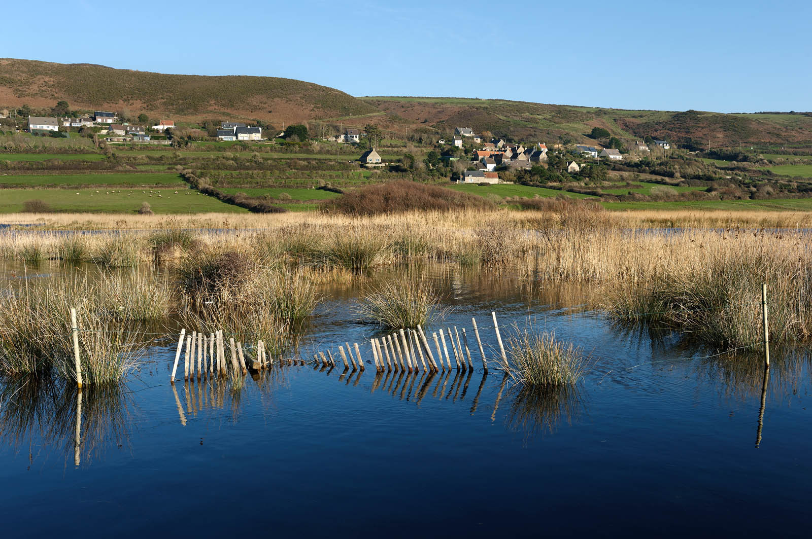 Le village de Vauville fait partie des sites classés de la Hague, Cap Cotentin. Les Pierres Pouquelées, galerie néolithique, sont un témoignage de l'Antiquité.La mare de Vauville est une réserve naturelle. Créée en 1976 c'est l'une des 135 réserves naturelles de France. Géré par le Groupe Ornithologique Normand depuis 1983, c'est un marais d'eau douce protégé de la mer par un étroit cordon dunaire. La mare de Vauville fait 62 ha, il y a plus de 150 espèces d'oiseaux ainsi que de 350 plantes et 16 espèces de batraciens.Un édifice autrefois religieux domine le village. C'est le prieuré de Vauville construit dans les landes, sur le haut d'une colline.Créé par Eric et Nicole Pellerin en 1947, l'exceptionnel jardin botanique du château de Vauville occupe plus de 40 000 m2. Abritant plus de 1000 espèces de l'hémisphère austral, le jardin entoure le château de Vauville dans une ambiance subtropicale tout à fait surprenante.
