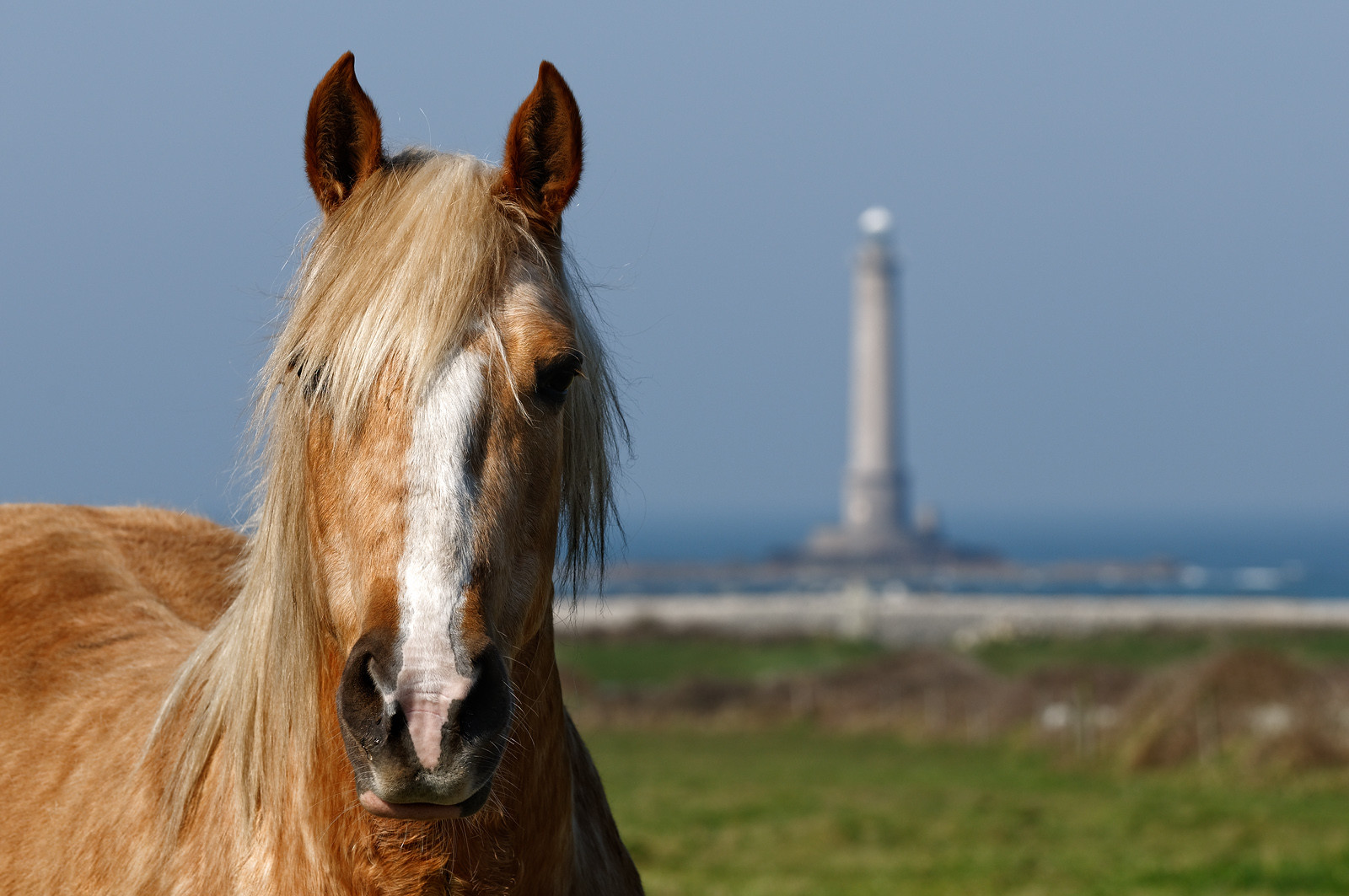 Le phare de Goury, situé sur la commune d'Auderville (Manche) et mis en service en 1837, signale l'un des courants de marée les plus forts d'Europe : le Raz Blanchard. Il est inscrit aux monuments historiques depuis 2009.