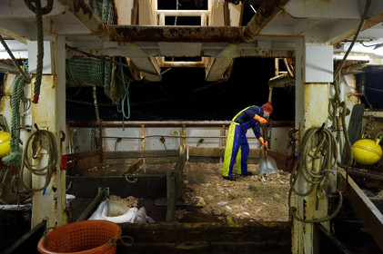 Ce reportage a été réalisé en janvier 2014 à bord du chalutier Marie-Catherine, appartenant à la SARL Armement Cherbourgeois créé en 1999 par Sophie et David LEROY. Cette marée de 7 jours fût assez mouvementée d'une part par la météo très capricieuse, mais également par la difficulté de réaliser les prises de vues. Une sélection de 20 photographies a été présentée lors de la 4ème édition du Festival photo L'Homme et la Mer au Guilvinec (Bretagne) en 2014, ainsi qu'au Musée de Tatihou 'Avis de grand frais (Manche) http:  www.armement-cherbourgeois.fr 