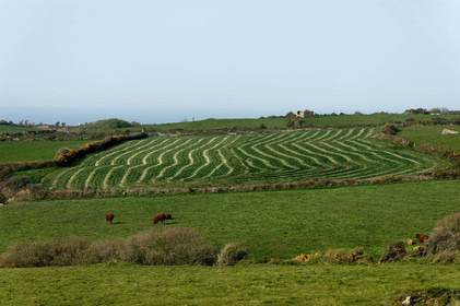 La Hague (Cotentin)