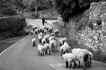 Antoine Soubigou Photographe