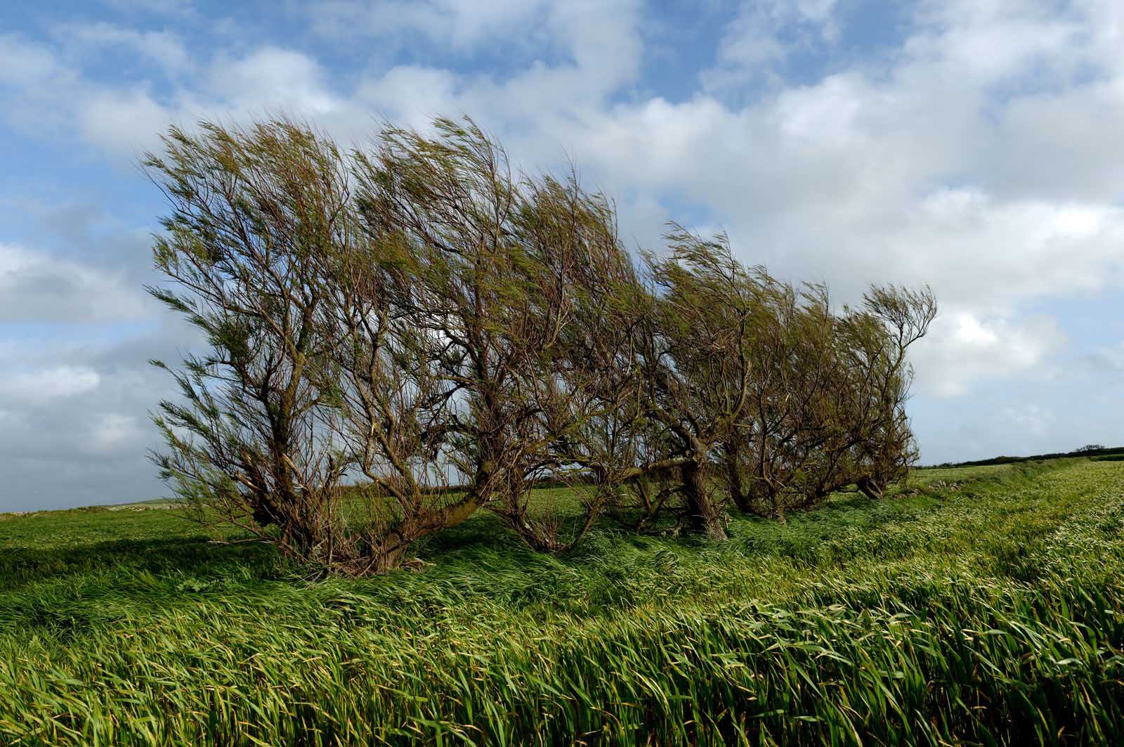 La Hague (Cotentin)