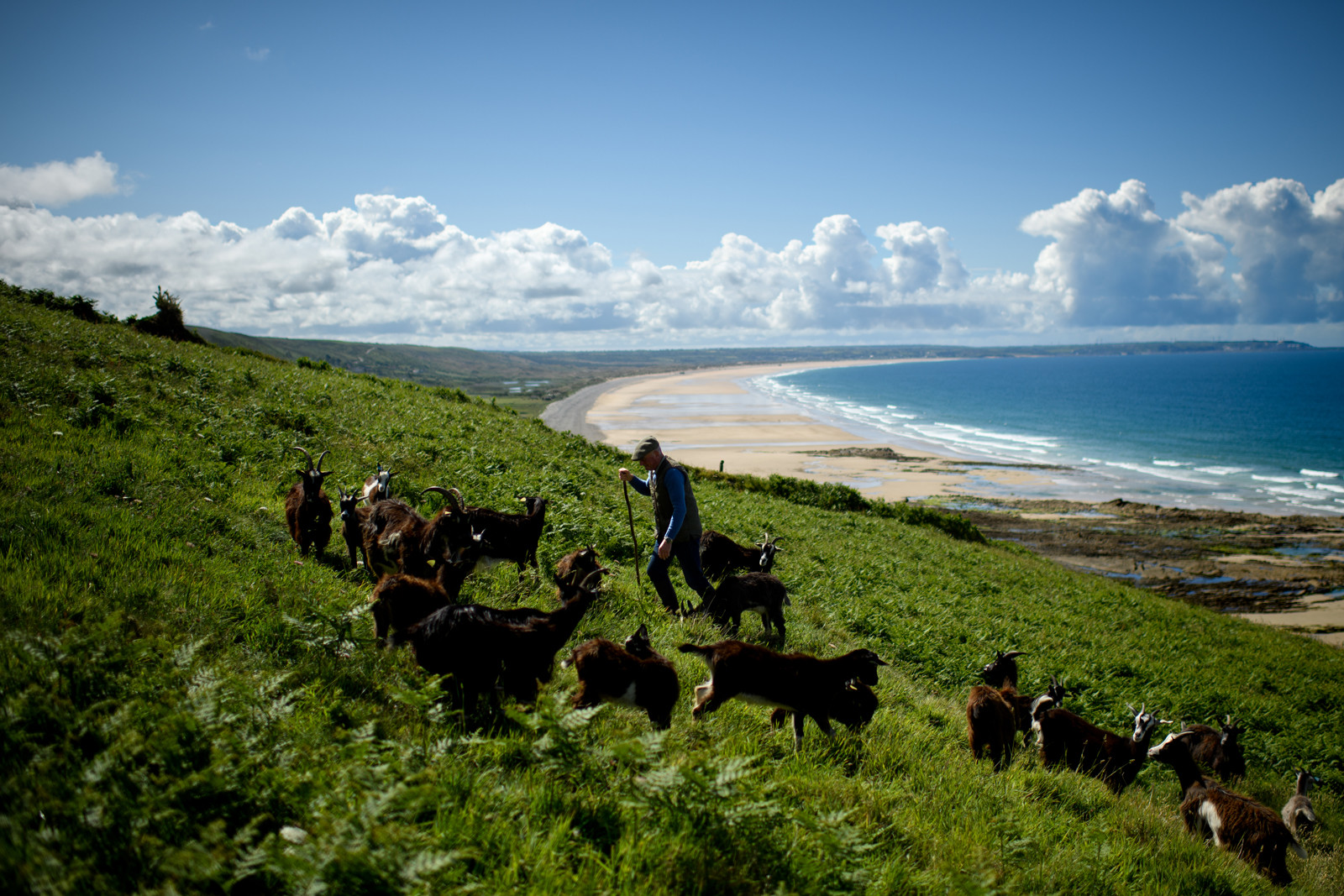 Reportage Des Racines et Des Ailes (mai 2023)