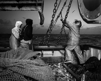 Marin pêcheur.. Deux mots qui suscitent tant de sentiments divers chez les gens de terre... Respect, admiration pour cette liberté, ce courage, mais aussi souvent peur et angoisse. Sont-ils fous ou désepérés pour risquer ainsi leurs vies quotidiennement ? Non, justes passionnés par leur métier, la mer est leur grande histoire d'amour.Le salaire de la peur des forcats de la mer, le journaliste avait raison.Ces photographies réalisées au cours de plusieurs marées à bord du Yannick, chalutier cherbourgeois, vous décrivent l'histoire d'un navire, d'un équipage, d'une famille. Vous embarquez à leurs côtés et découvrez leurs conditions de travail, la tempête, la fatigue, et, au détour d'une image, un sourire.Sophie LeroyDirectice de l'Armement Cherbourgeois