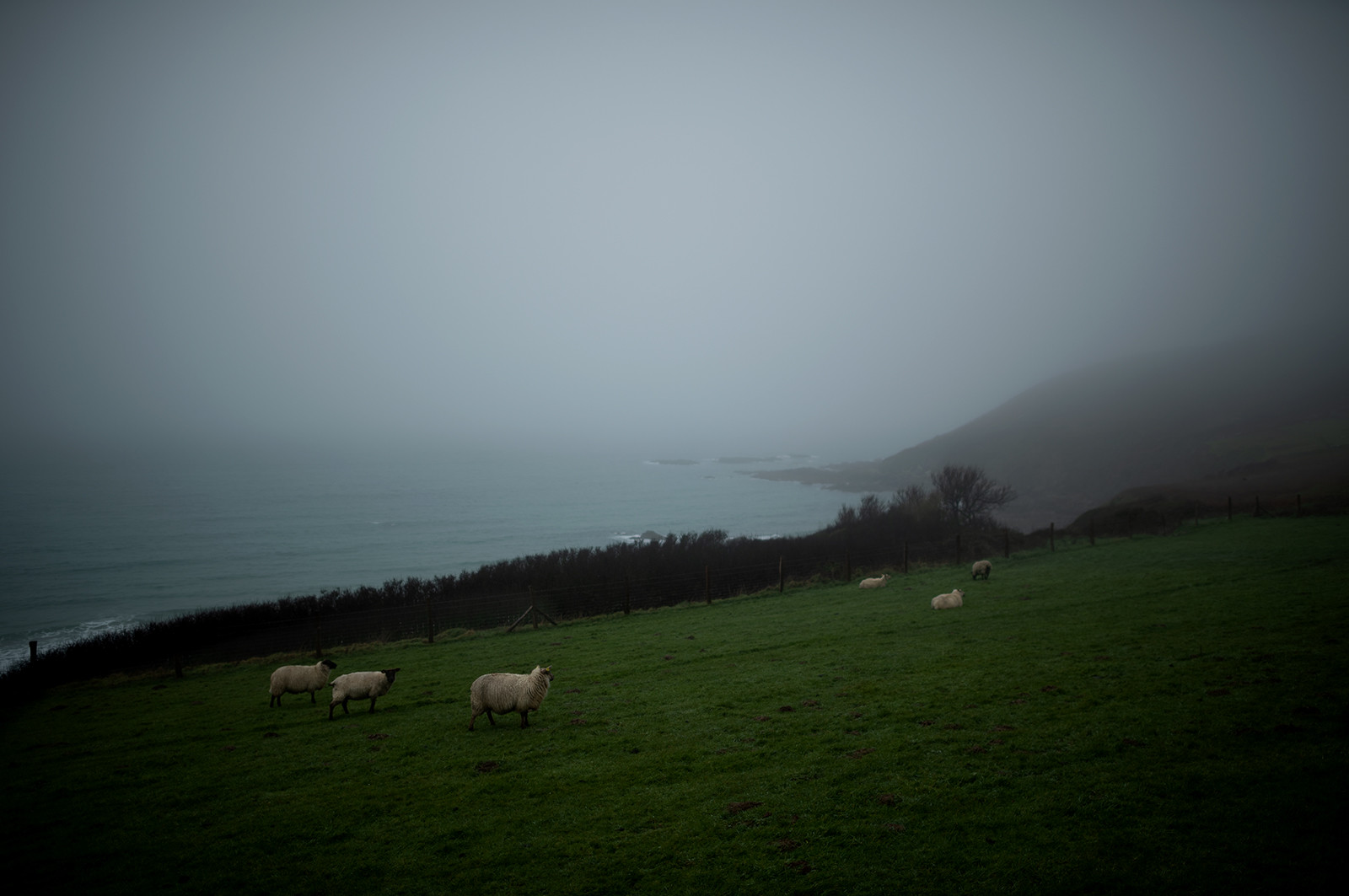 La Presqu'île du Cotentin