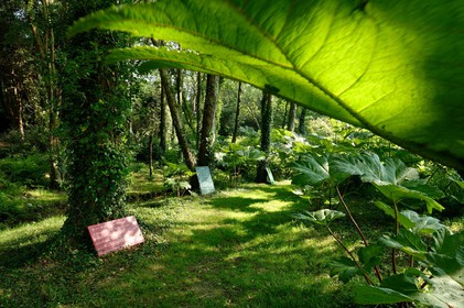 En hommage au poète, ses amis dont Gérard Fusberti, propriétaire du terrain et gardien du temple, décident de créer un jardin où chacun plantera son arbre ou laissera une de ses créations. Montand, Reggiani, Greco ou Mouloudji plantèrent chacun leur double végétal lors de la célébration du dixième anniversaire de la mort de Prévert, un eucalyptus aujourd'hui haut d'au moins 20 mètres pour Mouloudji.Se balader dans ce jardin, c'est pénétrer dans l'univers du poète. Au milieu des arbres d'ornement, des bambous peints de rouge vif, des arbres fruitiers, des camélias, des azalées, des gunneras (que Prévert adorait) et des hortensias, des œuvres d'art se révèlent ça et là, tantôt un portrait, tantôt une sculpture ou une installation. Des arbres peints prennent vie, une main rouge semblant sortir de leur entrailles, le ruisseau qui coule en cascade murmure une douce poésie, que l'on retrouve en quelques phrases inscrites sur des plaques qui surgissent au milieu de cette jungle organisée. (Saint-Germain-des-Vaux Manche)