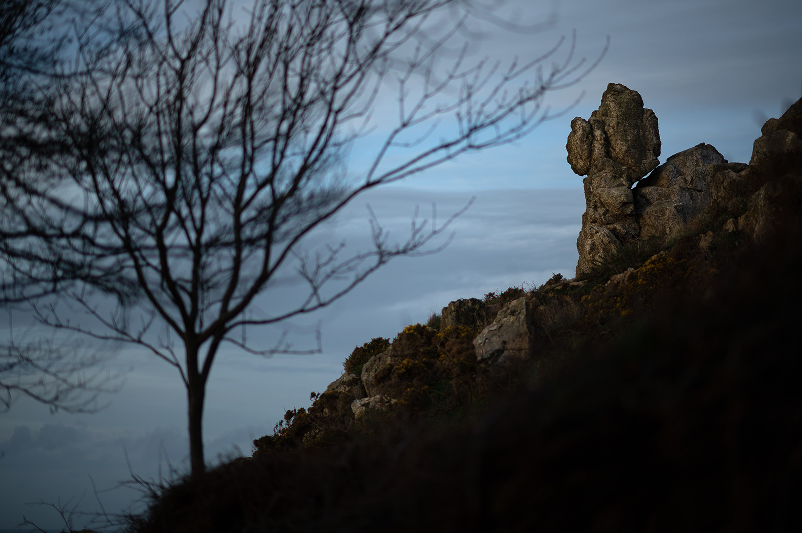 La Presqu'île du Cotentin