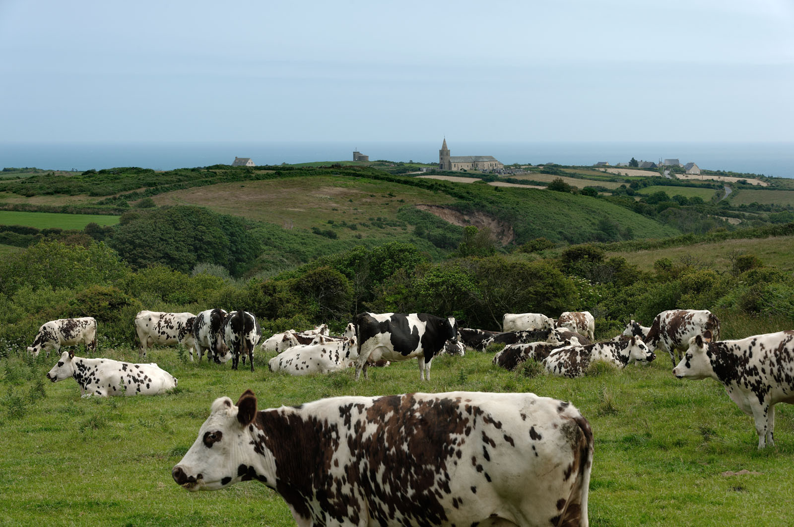 La Hague (Cotentin)