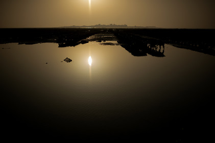 Les parcs à huîtres de Saint-Vaast-la-Hougue (Cotentin)