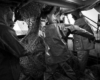 Marin pêcheur.. Deux mots qui suscitent tant de sentiments divers chez les gens de terre... Respect, admiration pour cette liberté, ce courage, mais aussi souvent peur et angoisse. Sont-ils fous ou désepérés pour risquer ainsi leurs vies quotidiennement ? Non, justes passionnés par leur métier, la mer est leur grande histoire d'amour.Le salaire de la peur des forcats de la mer, le journaliste avait raison.Ces photographies réalisées au cours de plusieurs marées à bord du Yannick, chalutier cherbourgeois, vous décrivent l'histoire d'un navire, d'un équipage, d'une famille. Vous embarquez à leurs côtés et découvrez leurs conditions de travail, la tempête, la fatigue, et, au détour d'une image, un sourire.Sophie LeroyDirectice de l'Armement Cherbourgeois