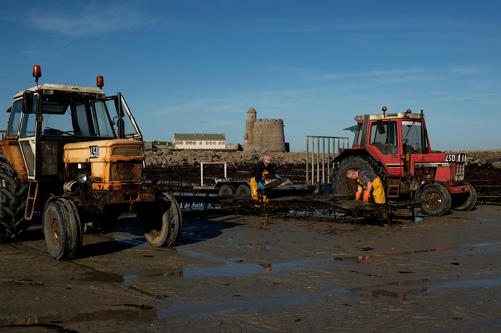 Les parcs à huîtres de Saint-Vaast-la-Hougue (Cotentin)