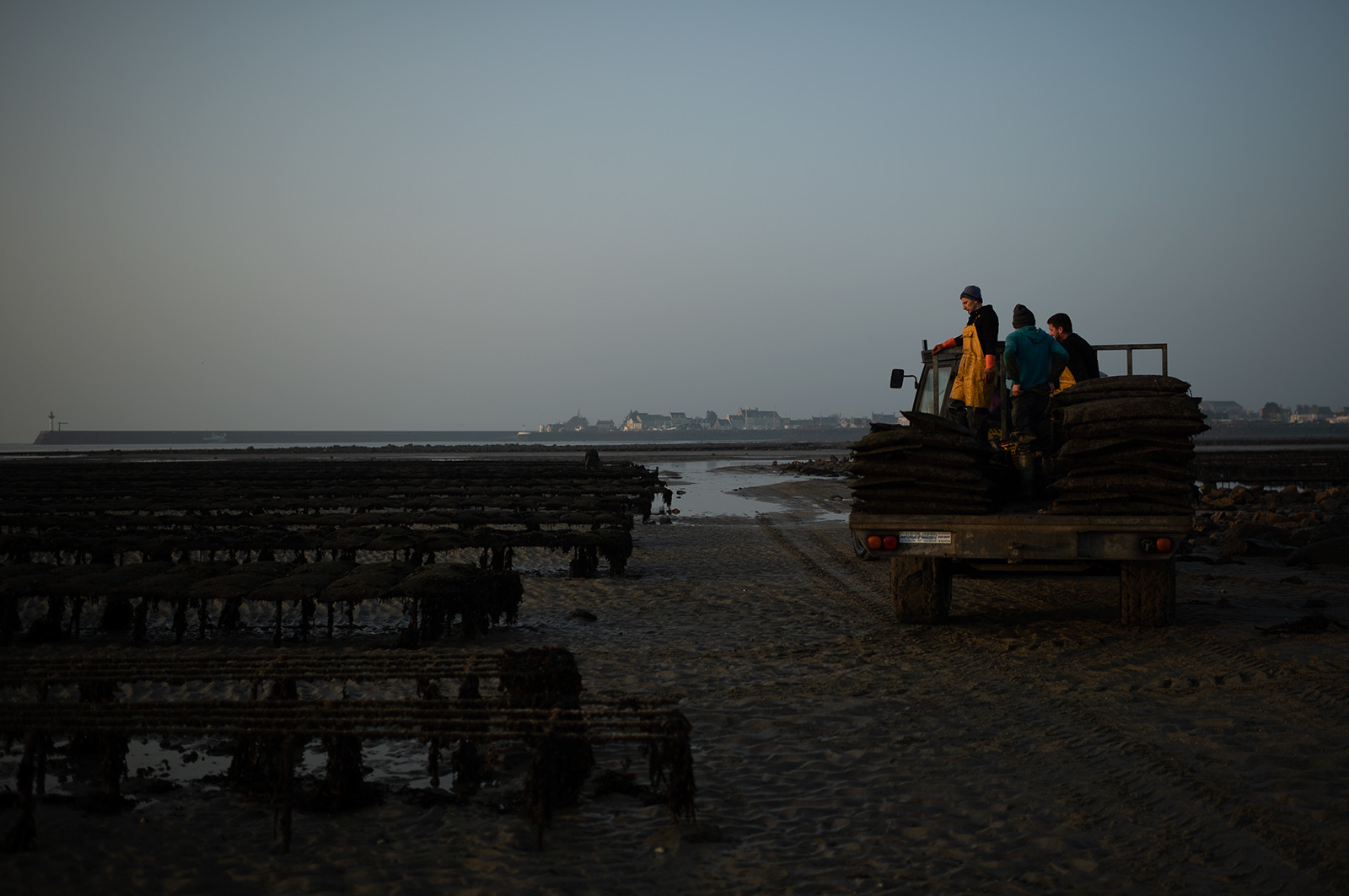 Les parcs à huîtres de Saint-Vaast-la-Hougue (Cotentin)