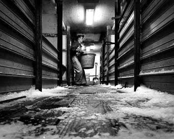 Marin pêcheur.. Deux mots qui suscitent tant de sentiments divers chez les gens de terre... Respect, admiration pour cette liberté, ce courage, mais aussi souvent peur et angoisse. Sont-ils fous ou désepérés pour risquer ainsi leurs vies quotidiennement ? Non, justes passionnés par leur métier, la mer est leur grande histoire d'amour.Le salaire de la peur des forcats de la mer, le journaliste avait raison.Ces photographies réalisées au cours de plusieurs marées à bord du Yannick, chalutier cherbourgeois, vous décrivent l'histoire d'un navire, d'un équipage, d'une famille. Vous embarquez à leurs côtés et découvrez leurs conditions de travail, la tempête, la fatigue, et, au détour d'une image, un sourire.Sophie LeroyDirectice de l'Armement Cherbourgeois