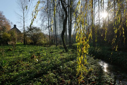 La Hague (Cotentin)