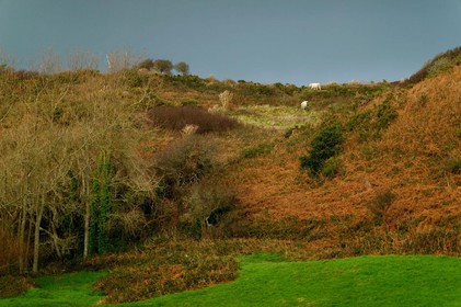 La Hague (Cotentin)