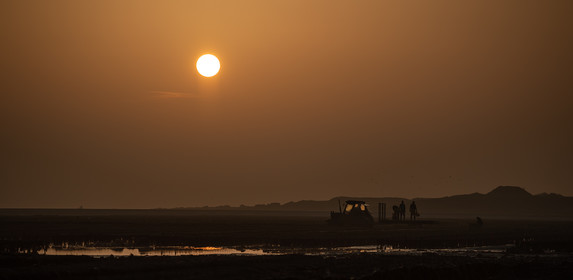 Les parcs à huîtres de Saint-Vaast-la-Hougue (Cotentin)