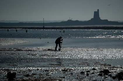 Les parcs à huîtres de Saint-Vaast-la-Hougue (Cotentin)
