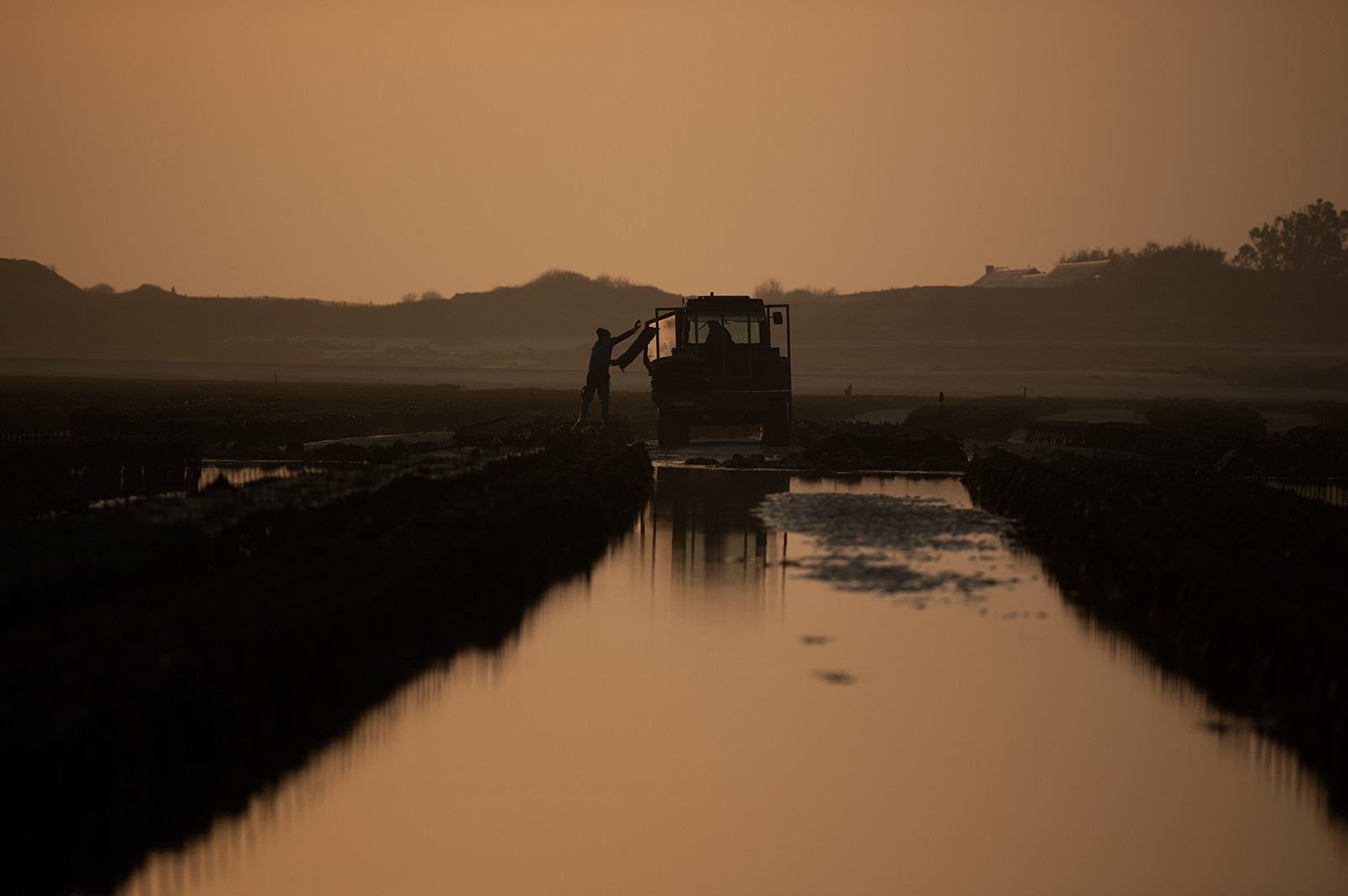 Les parcs à huîtres de Saint-Vaast-la-Hougue (Cotentin)