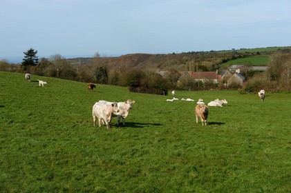 La Hague (Cotentin)