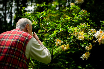 Reportage Des Racines et Des Ailes (mai 2023)