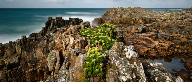 Cap de la Hague