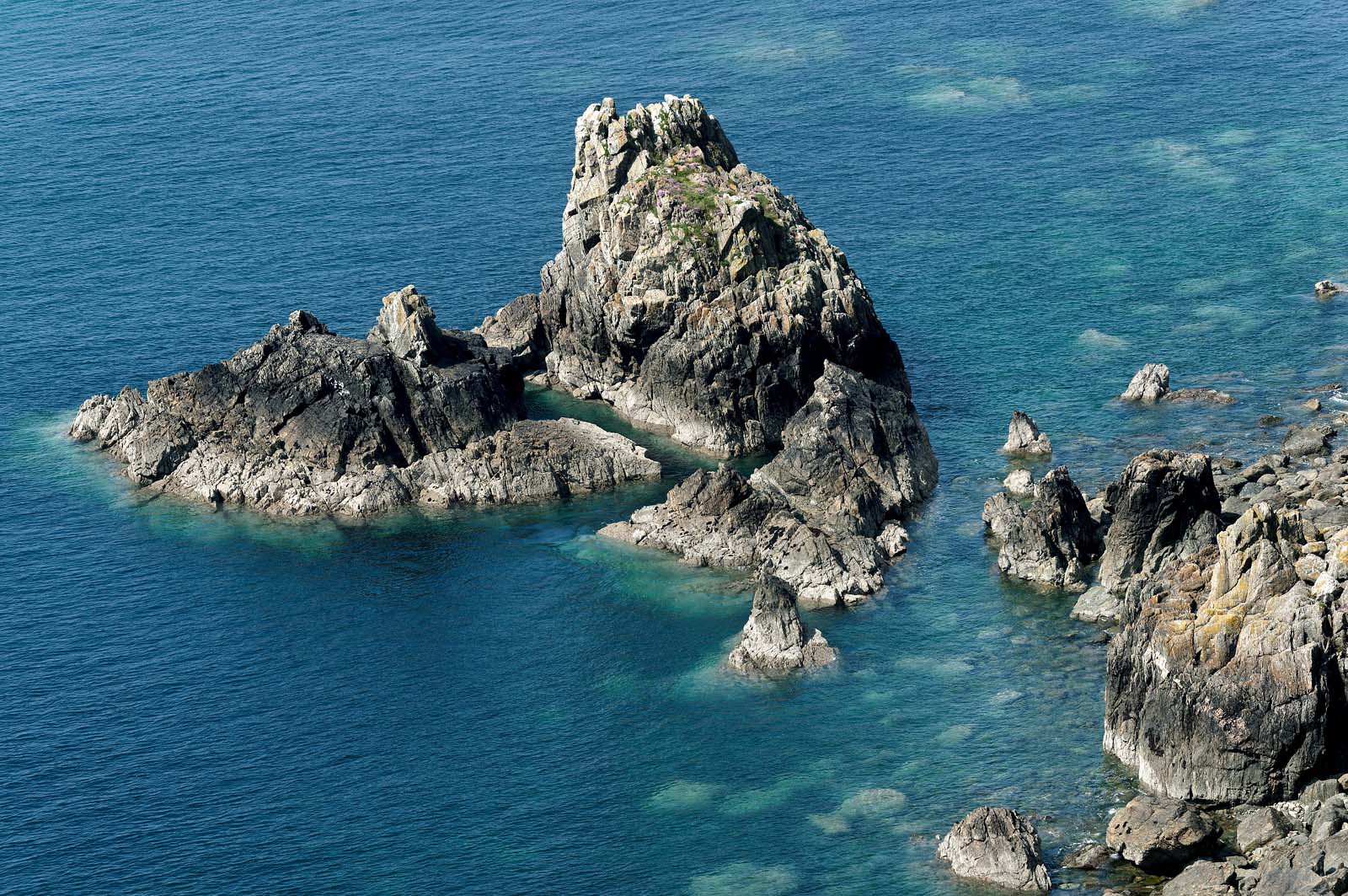 Situé sur la commune de Jobourg (Manche), le Nez de Jobourg s'élève à 126 mètres de haut, classé parmi les plus hautes d'Europe.En empruntant le sentier des douaniers, le promeneur voit la nature se décliner sous toutes ses formes,Le Nez de Jobourg offre un panorama exceptionnel, du cap de la Hague jusqu'au cap de Flamanville, ainsi que sur les îles Anglo-Normandes.