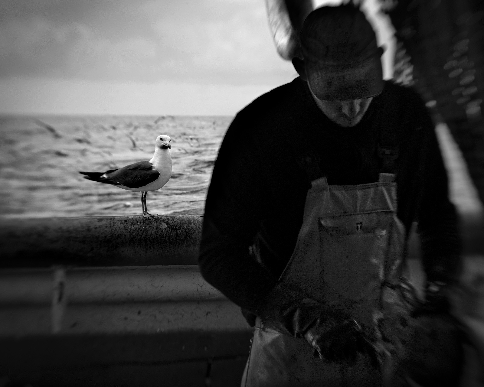 Marin pêcheur.. Deux mots qui suscitent tant de sentiments divers chez les gens de terre... Respect, admiration pour cette liberté, ce courage, mais aussi souvent peur et angoisse. Sont-ils fous ou désepérés pour risquer ainsi leurs vies quotidiennement ? Non, justes passionnés par leur métier, la mer est leur grande histoire d'amour.Le salaire de la peur des forcats de la mer, le journaliste avait raison.Ces photographies réalisées au cours de plusieurs marées à bord du Yannick, chalutier cherbourgeois, vous décrivent l'histoire d'un navire, d'un équipage, d'une famille. Vous embarquez à leurs côtés et découvrez leurs conditions de travail, la tempête, la fatigue, et, au détour d'une image, un sourire.Sophie LeroyDirectice de l'Armement Cherbourgeois