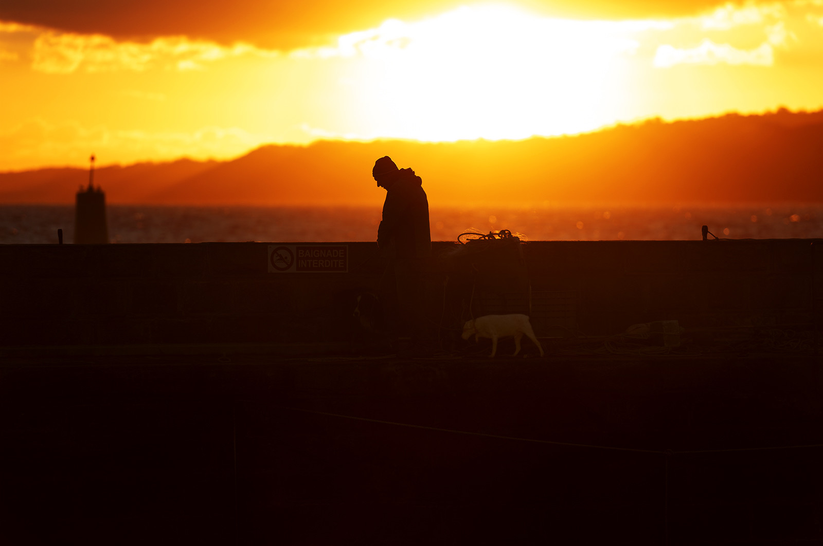 La Presqu'île du Cotentin