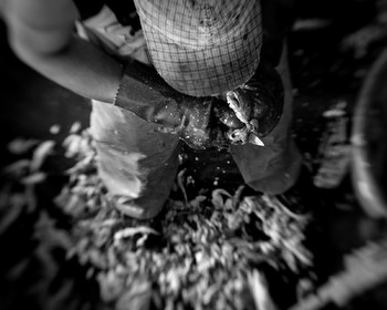 Marin pêcheur.. Deux mots qui suscitent tant de sentiments divers chez les gens de terre... Respect, admiration pour cette liberté, ce courage, mais aussi souvent peur et angoisse. Sont-ils fous ou désepérés pour risquer ainsi leurs vies quotidiennement ? Non, justes passionnés par leur métier, la mer est leur grande histoire d'amour.Le salaire de la peur des forcats de la mer, le journaliste avait raison.Ces photographies réalisées au cours de plusieurs marées à bord du Yannick, chalutier cherbourgeois, vous décrivent l'histoire d'un navire, d'un équipage, d'une famille. Vous embarquez à leurs côtés et découvrez leurs conditions de travail, la tempête, la fatigue, et, au détour d'une image, un sourire.Sophie LeroyDirectice de l'Armement Cherbourgeois