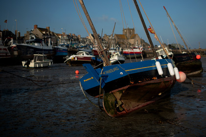 La Presqu'île du Cotentin