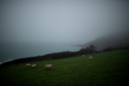 La Presqu'île du Cotentin