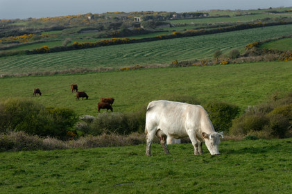 La Hague (Cotentin)