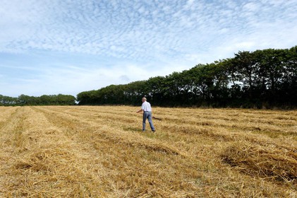 La Hague (Cotentin)