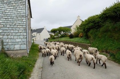 La Hague (Cotentin)