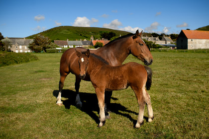 Reportage Des Racines et Des Ailes (mai 2023)
