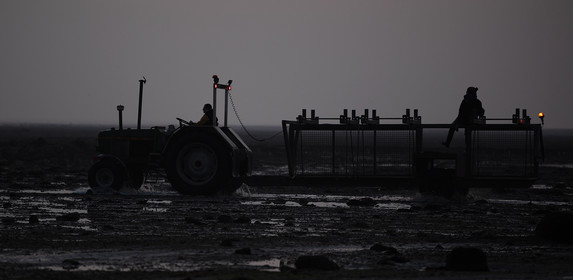 Les parcs à huîtres de Saint-Vaast-la-Hougue (Cotentin)