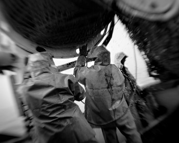 Marin pêcheur.. Deux mots qui suscitent tant de sentiments divers chez les gens de terre... Respect, admiration pour cette liberté, ce courage, mais aussi souvent peur et angoisse. Sont-ils fous ou désepérés pour risquer ainsi leurs vies quotidiennement ? Non, justes passionnés par leur métier, la mer est leur grande histoire d'amour.Le salaire de la peur des forcats de la mer, le journaliste avait raison.Ces photographies réalisées au cours de plusieurs marées à bord du Yannick, chalutier cherbourgeois, vous décrivent l'histoire d'un navire, d'un équipage, d'une famille. Vous embarquez à leurs côtés et découvrez leurs conditions de travail, la tempête, la fatigue, et, au détour d'une image, un sourire.Sophie LeroyDirectice de l'Armement Cherbourgeois