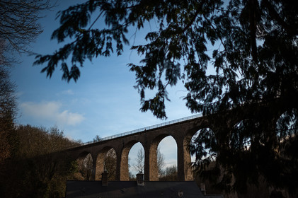 La Presqu'île du Cotentin