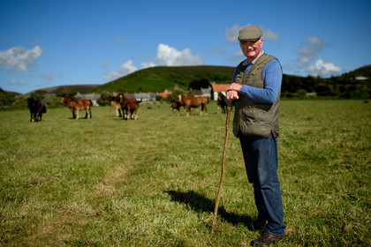 Reportage Des Racines et Des Ailes (mai 2023)