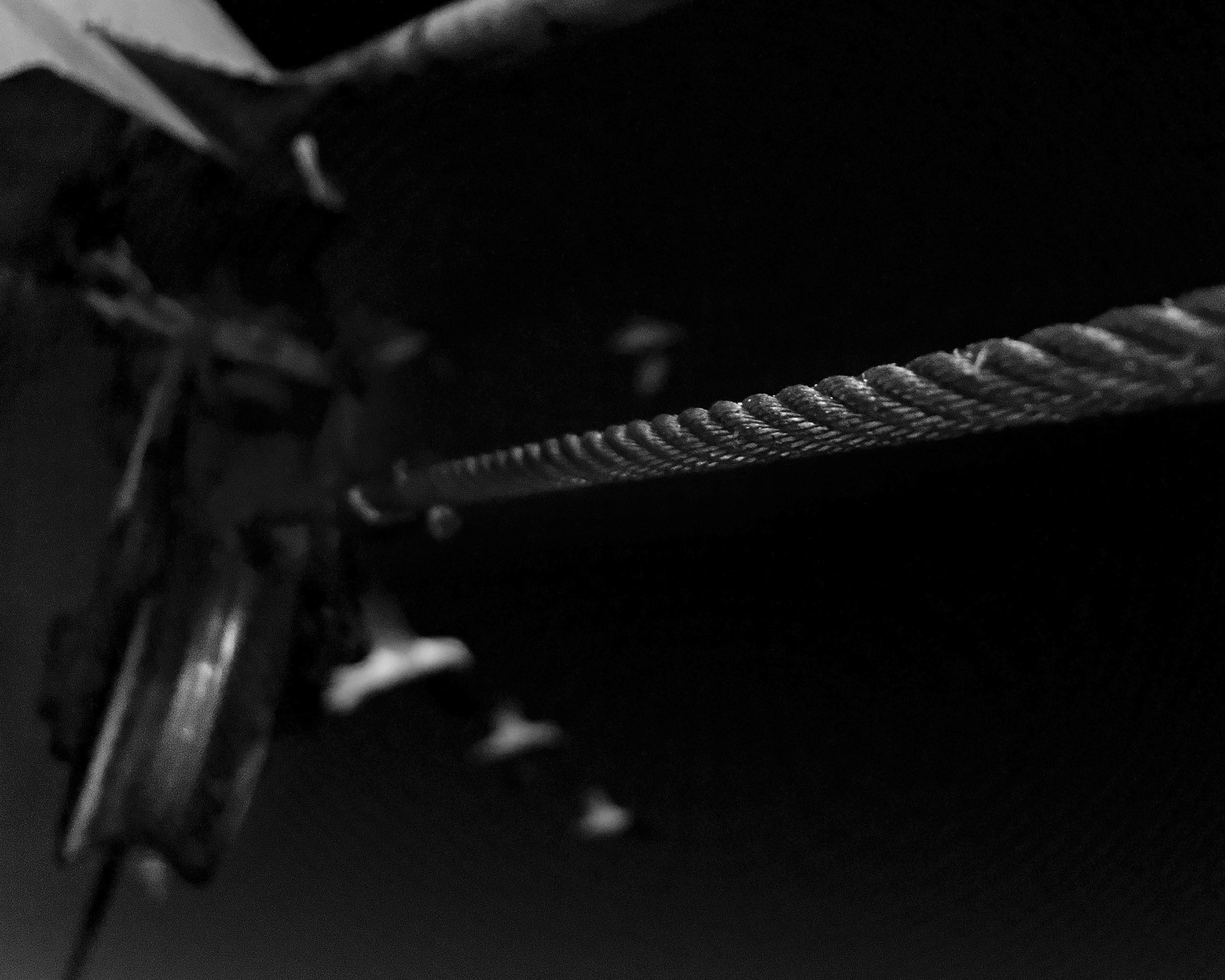 Marin pêcheur.. Deux mots qui suscitent tant de sentiments divers chez les gens de terre... Respect, admiration pour cette liberté, ce courage, mais aussi souvent peur et angoisse. Sont-ils fous ou désepérés pour risquer ainsi leurs vies quotidiennement ? Non, justes passionnés par leur métier, la mer est leur grande histoire d'amour.Le salaire de la peur des forcats de la mer, le journaliste avait raison.Ces photographies réalisées au cours de plusieurs marées à bord du Yannick, chalutier cherbourgeois, vous décrivent l'histoire d'un navire, d'un équipage, d'une famille. Vous embarquez à leurs côtés et découvrez leurs conditions de travail, la tempête, la fatigue, et, au détour d'une image, un sourire.Sophie LeroyDirectice de l'Armement Cherbourgeois