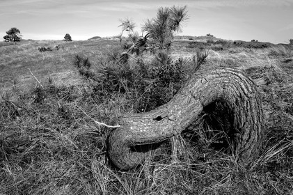 Antoine Soubigou Photographe