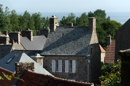 Le village d’Omonville la Rogue, situé sur la route côtière qui relie Cherbourg au cap de la Hague, s’étire au creux d’un vallon. Ses nombreuses petites rues et ruelles, sont bordées de solides maisons de granit, souvent couvertes en pierre.Les promenades conduisent bien souvent vers le Hâble, nom donné au port, un des plus beaux et des plus anciens de la région, dominé par un fort datant du début du XV siècle,