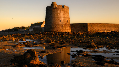Les huîtres de Saint-Vaast-la-Hougue (Cotentin)