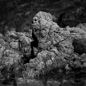 Cette exposition fût présentée lors du mois de la photographie à Equeurdreville (Cotentin) en 2014.Comme un tailleur de pierre, la nature a façonné un monde imaginaire, transformant le paysage en une oeuvre d’art équilibrée et contrôlée. Je n’ai photographié que ceux qui me parlaient, comme des apparitions fantasmagoriques, un clin d’oeil, un frisson, un sourire complice. Libre à vous de découvrir ces formes secrètes, ces visages sculptés par les éléments aux traits parfois révélateurs.